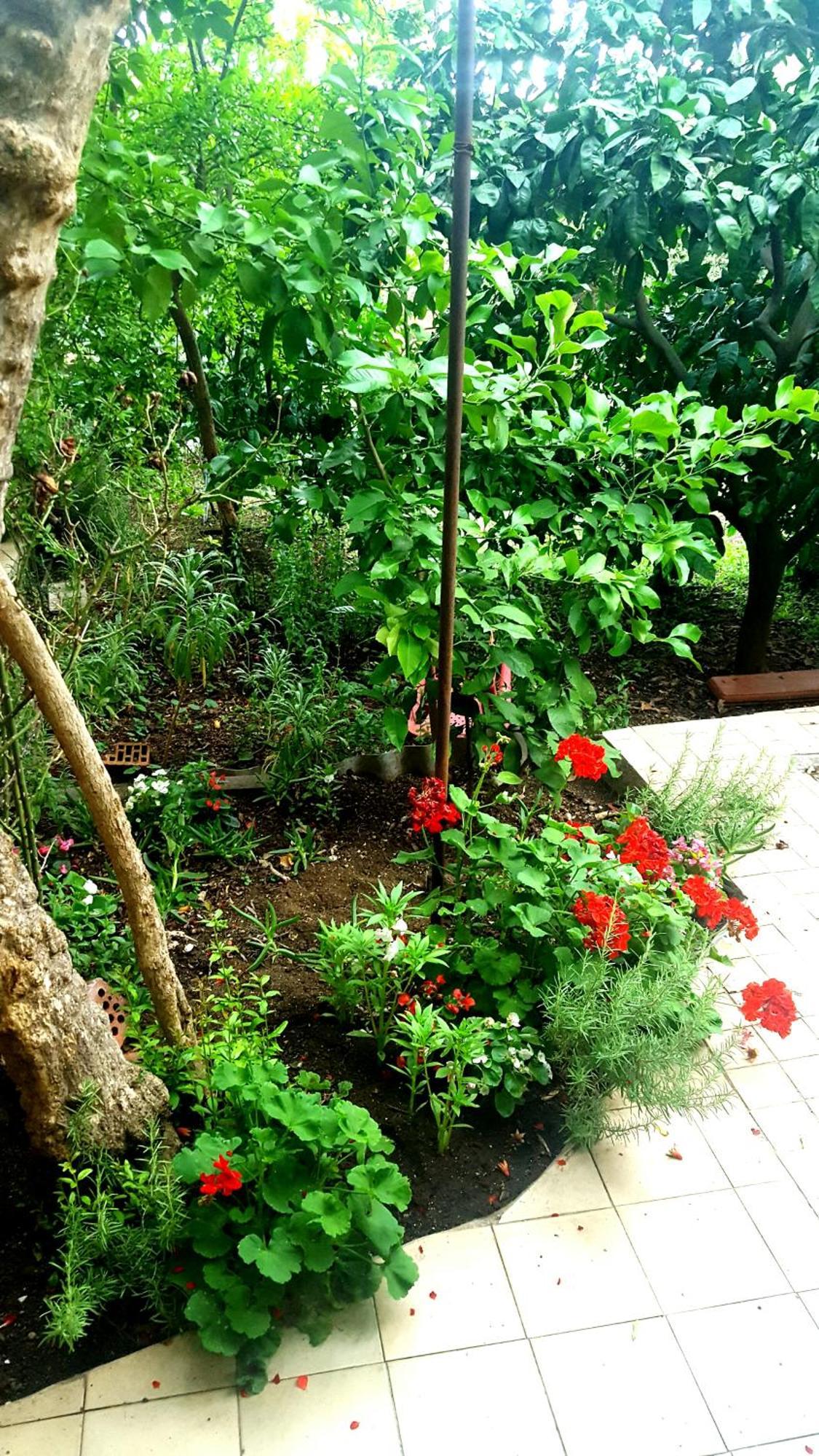 Apartments Vala بيتينا المظهر الخارجي الصورة